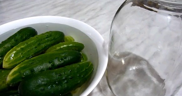 Recipes for cucumbers in mustard filling for the winter: pickled, salted