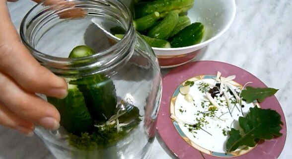 Recipes for cucumbers in mustard filling for the winter: pickled, salted