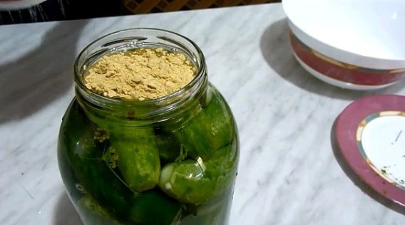 Recipes for cucumbers in mustard filling for the winter: pickled, salted