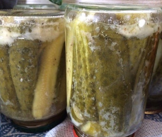 Recipes for cucumbers in mustard filling for the winter: pickled, salted