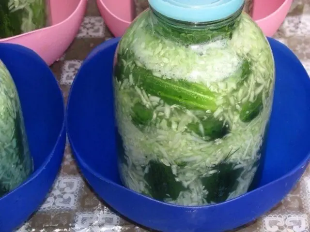 Recipes for cucumbers in their own juice for the winter Lick your fingers