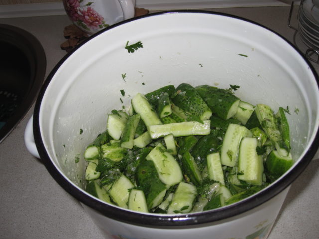 Recipes for cucumbers in their own juice for the winter Lick your fingers