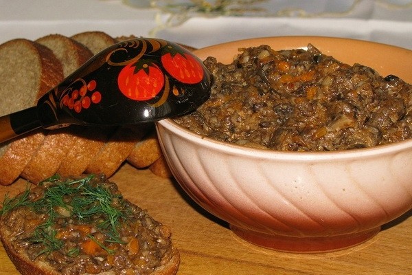 Recipes for delicious dishes from dried mushrooms