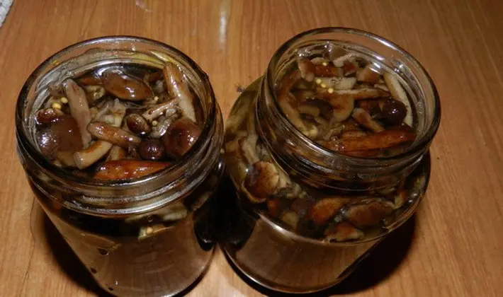 Recipes for dishes from autumn mushrooms