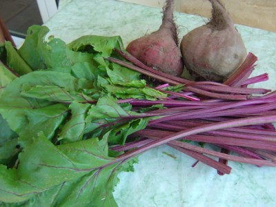 Recipes for dishes from beet tops