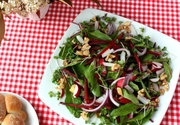 Recipes for dishes from beet tops