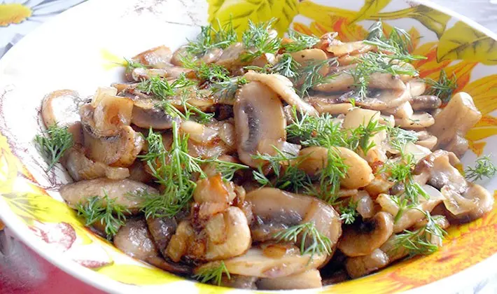 Recipes for fried porcini mushrooms