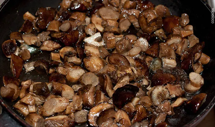 Recipes for fried porcini mushrooms