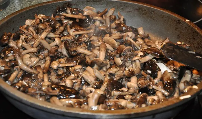 Recipes for fried porcini mushrooms