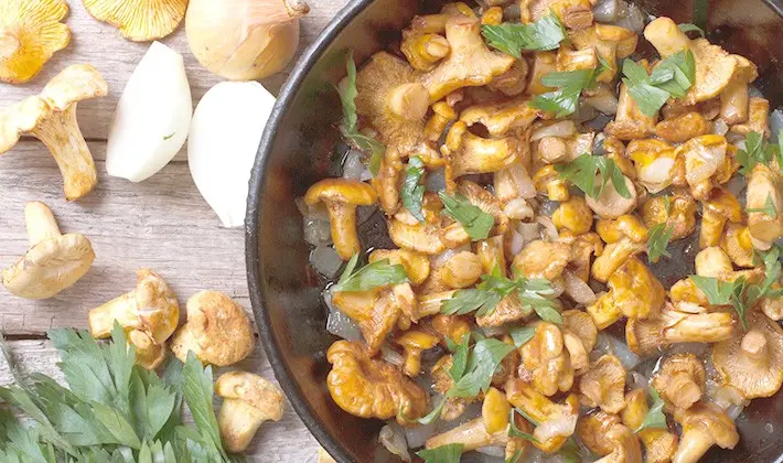 Recipes for fried porcini mushrooms