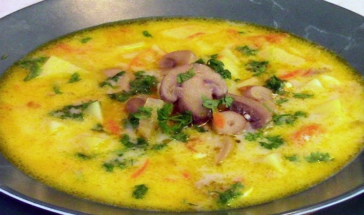 Recipes for frozen champignon soups