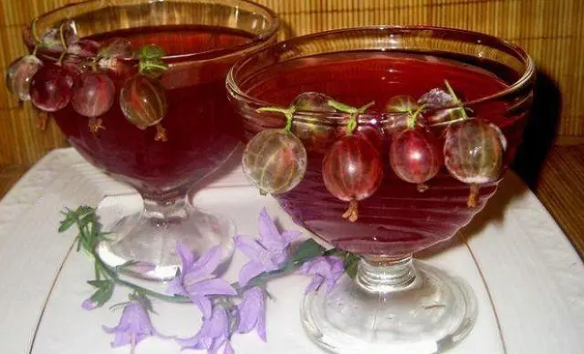 Recipes for homemade gooseberry liqueur with and without vodka