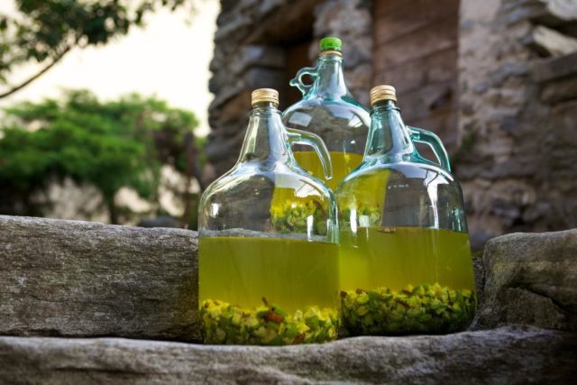 Recipes for homemade gooseberry liqueur with and without vodka