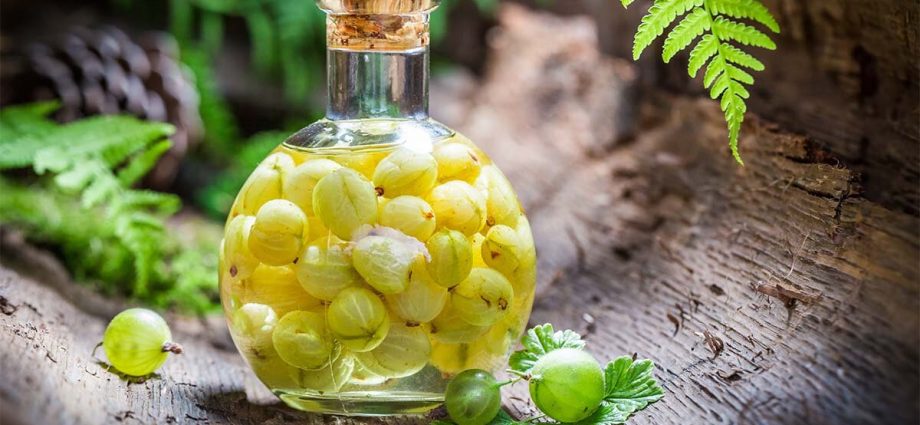 Recipes for homemade gooseberry liqueur with and without vodka