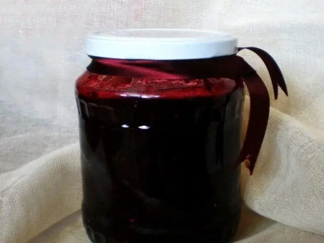 Recipes for jam (jam) from blackthorn for the winter pitted