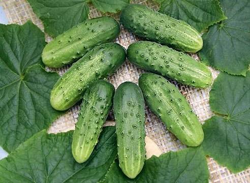 Recipes for lightly salted cucumbers for the winter in jars