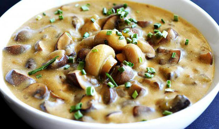 Recipes for making delicious porcini mushrooms