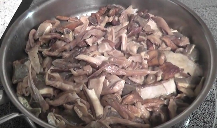 Recipes for making delicious porcini mushrooms