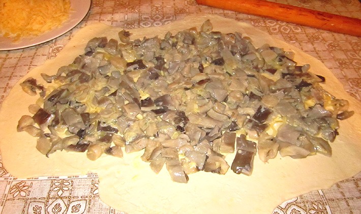 Recipes for making pies with mushrooms and cheese