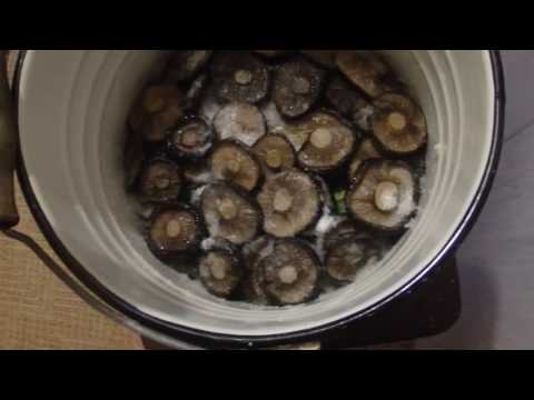 Recipes for marinating black mushrooms at home