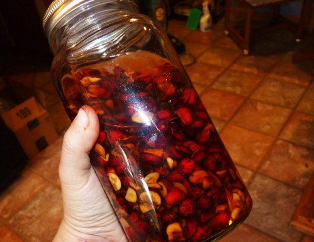 Recipes for moonshine on the shell of pine nuts