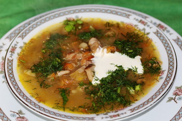 Recipes for mushroom soup and borscht