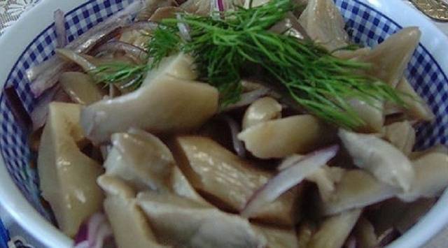 Recipes for oyster mushrooms for the winter