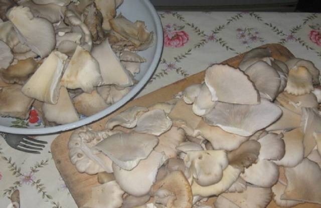 Recipes for oyster mushrooms for the winter