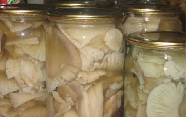 Recipes for oyster mushrooms for the winter