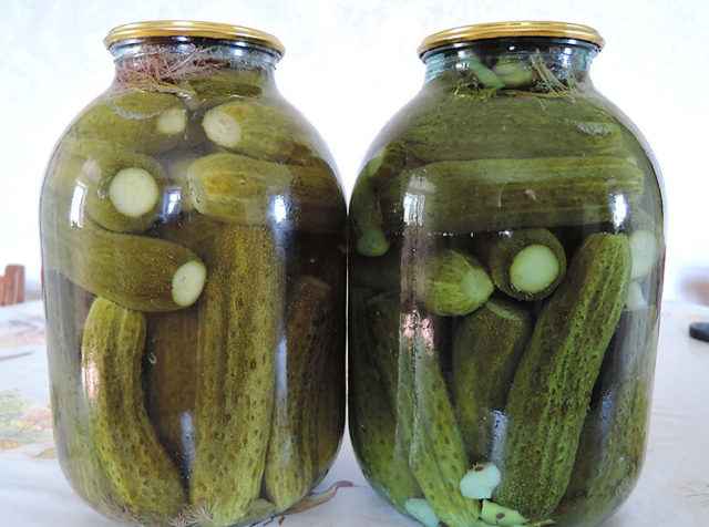 Recipes for pickled and pickled cucumbers with horseradish