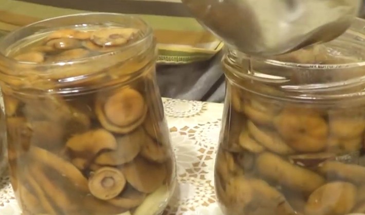 Recipes for pickled mushrooms prepared without sterilization