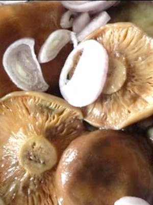 Recipes for pickled mushrooms prepared without sterilization