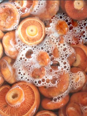 Recipes for pickled mushrooms prepared without sterilization