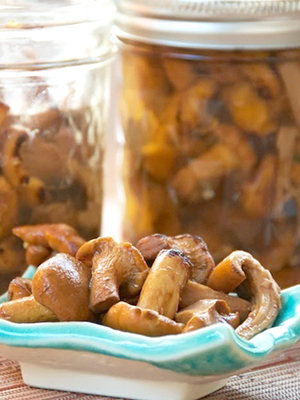 Recipes for pickled mushrooms prepared without sterilization