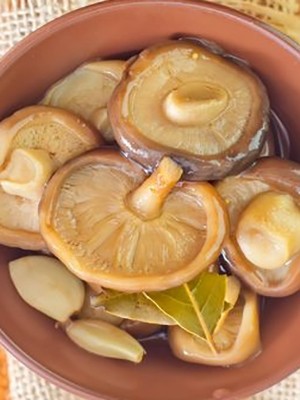 Recipes for pickled mushrooms prepared without sterilization