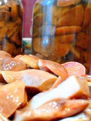 Recipes for pickled mushrooms prepared without sterilization