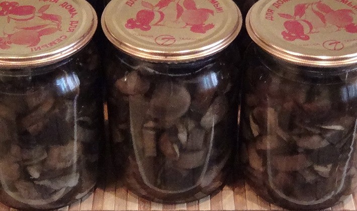 Recipes for pickling milk mushrooms for the winter at home (with photo)