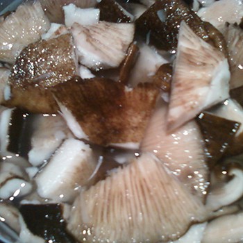 Recipes for pickling milk mushrooms in a hot way (with video)