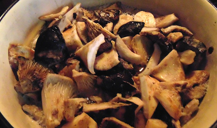 Recipes for pickling milk mushrooms in a hot way (with video)