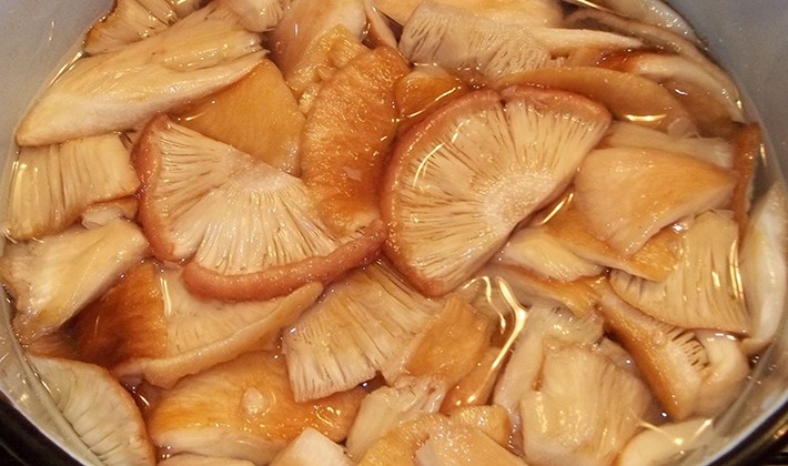 Recipes for pickling milk mushrooms in a hot way (with video)