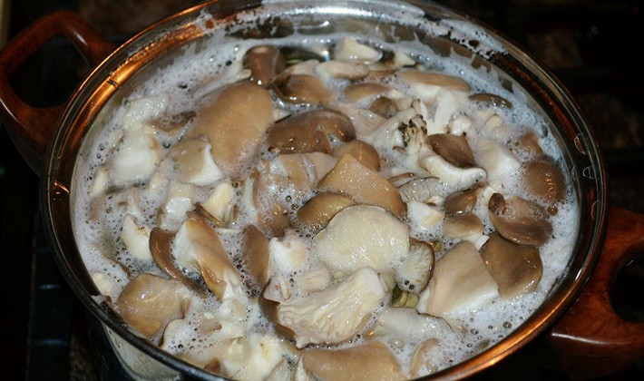 Recipes for pickling milk mushrooms in a hot way (with video)