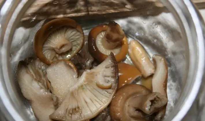 Recipes for pickling mushrooms in a cold way