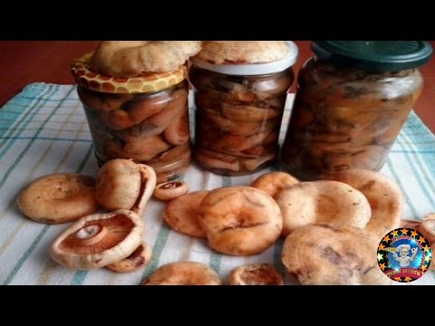 Recipes for pickling mushrooms in a hot way