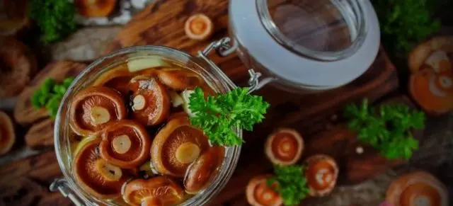 Recipes for pickling mushrooms in a hot way