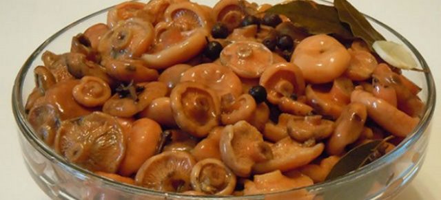 Recipes for pickling mushrooms in a hot way