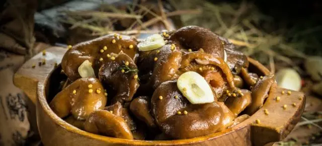 Recipes for pickling mushrooms in a hot way