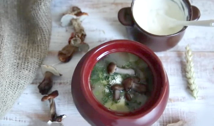 Recipes for porcini mushroom soups with potatoes