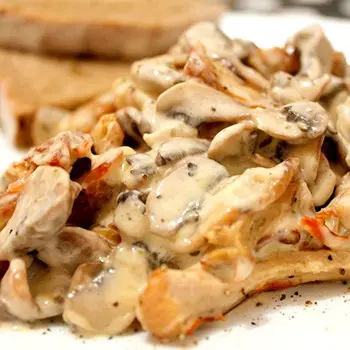 Recipes for porcini mushrooms in sour cream