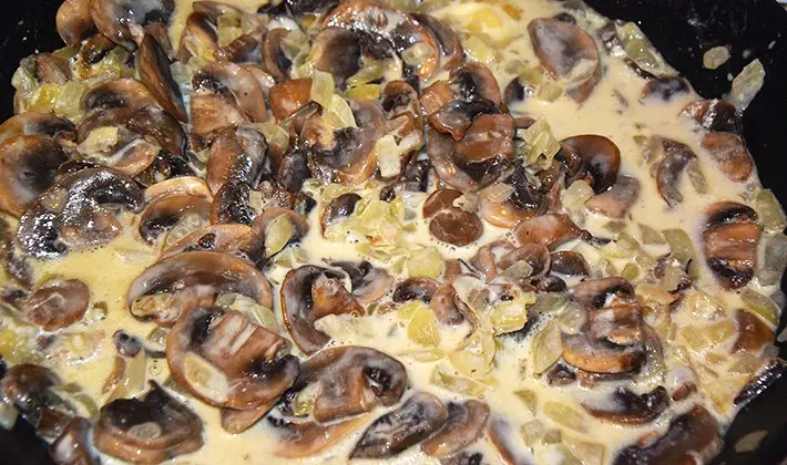 Recipes for porcini mushrooms in sour cream