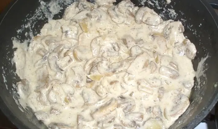 Recipes for porcini mushrooms in sour cream